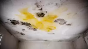 jaka farba na sufit